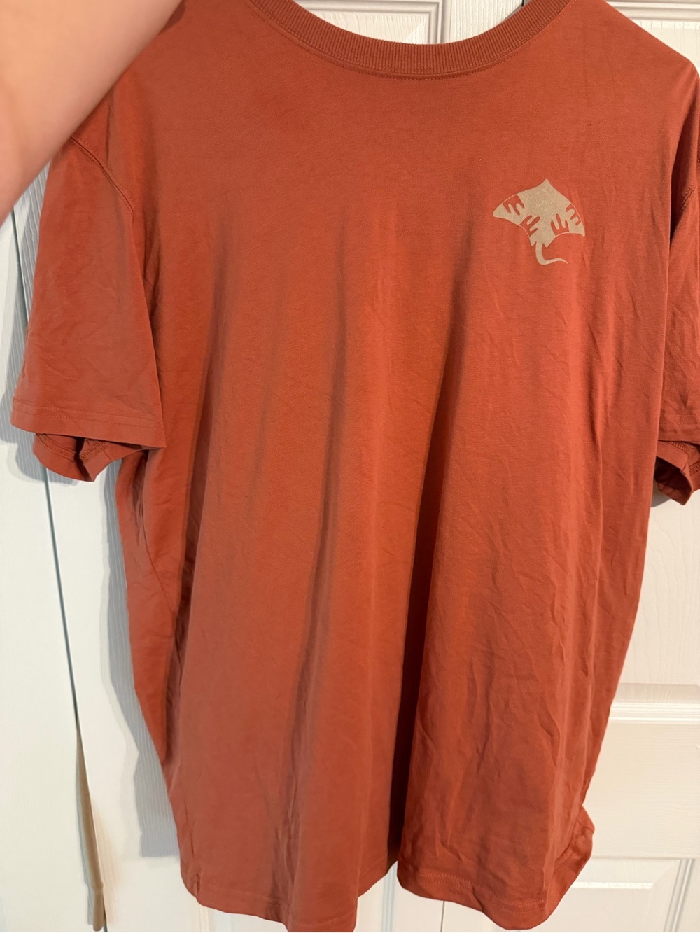 Waves and rays Georgia zoo shirt